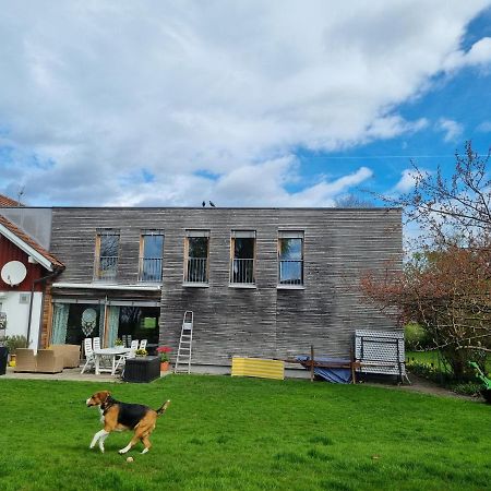 Appartement Hard Bodensee Zewnętrze zdjęcie